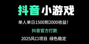 抖音官方小游戏2025全网最新玩法，暴利赚钱项目，单机日入2000+-琴书聊项目
