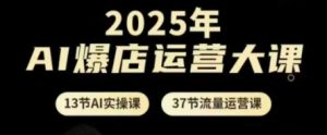 2025年AI爆店运营大课，13节AI实操课+37节流量运营课-琴书聊项目