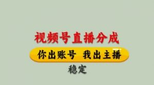 视频号直播分成，全程托管招募，单月轻松变现8k【揭秘】-琴书聊项目