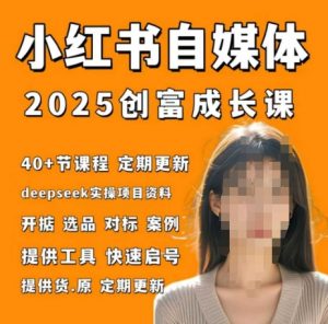 小红书电商自媒体创富课2.0版，实战打卡笔记训练营-琴书聊项目