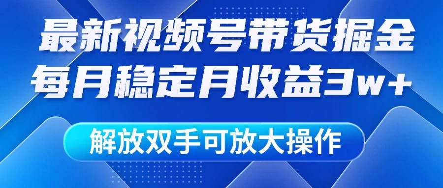 最新视频号带货掘金项目，每月稳定月收益3w+，解放双手，可放大操作-琴书聊项目