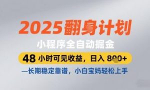 2025小程序全自动掘金，48 小时可见收益，日入8张，长期稳定靠谱，小白宝妈轻松上手【揭秘】-琴书聊项目