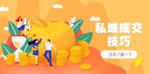 私域成交技巧，帮你从入门到精通，破解四大痛点，快速变现，轻松收钱-琴书聊项目