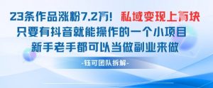 抖音私域项目23条作品涨粉7.2W，私域变现1W-琴书聊项目