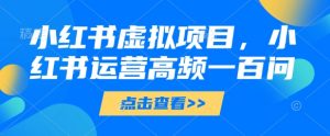 小红书虚拟项目，小红书运营高频一百问【文档】-琴书聊项目