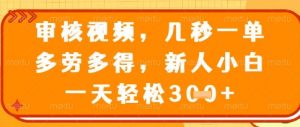 视频审核员，几秒一单，不限时间，不限地点，多做多得，新人小白一天轻松几张+【揭秘】-琴书聊项目