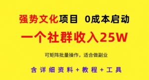 强势文化项目，一个社群收入25个W，0成本启动，可矩阵批量操作，原创详细实操教程-琴书聊项目