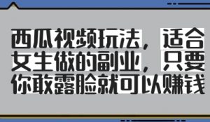 西瓜视频玩法，适合女生做的副业，只要你敢露脸就有收益-琴书聊项目