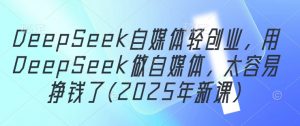 DeepSeek自媒体轻创业，用DeepSeek做自媒体，太容易挣钱了(2025年新课)-琴书聊项目