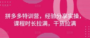 拼多多特训营，经验分享实操，课程时长拉满，干货拉满(更新25年4月)-琴书聊项目