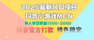2025最新风口项目 抖音小游戏MCN 单人单日收益1500-2000+-琴书聊项目