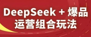 DeepSeek+爆品运营组合玩法，2025淘系精品课-琴书聊项目
