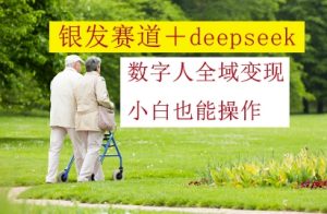 银发赛道+deepseek数字人全域变现,小白也能操作-琴书聊项目