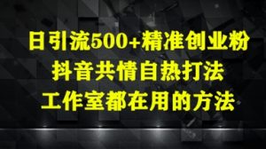 日引流500+精准创业粉，抖音共情自热打法，工作室都在用的方法-琴书聊项目