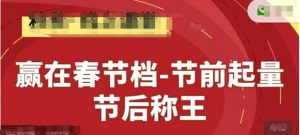 赢在春节档-节前起量，后称王，淘系精品线上系列课-琴书聊项目