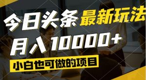 今日头条最新风口,视频掘金,小白也可月入过万,可以矩阵操作-琴书聊项目