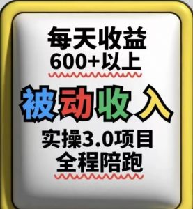 被动收入实操3.0项目，每天收益6张+以上，能长期操作-琴书聊项目