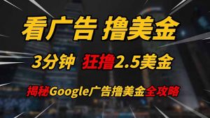 看广告，撸美金！！3分钟赚2.5美金！！日入200美金不是梦！揭秘Google…-琴书聊项目
