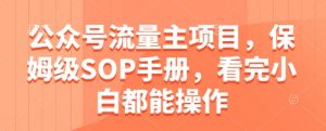 公众号流量主项目,保姆级SOP手册,看完小白都能操作-琴书聊项目