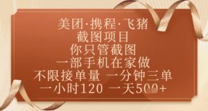 飞猪美团截图项目，你只管截图，一部手机在家做，正规平台无套路，一天5张+【揭秘】-琴书聊项目
