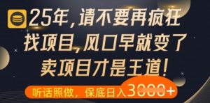 什么？25年你还在疯狂找项目做，醒醒吧，看完这些你全都懂了【揭秘】-琴书聊项目