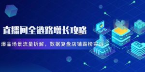 直播间全链路增长攻略，爆品场景流量拆解，数据复盘店铺霸榜实战-琴书聊项目