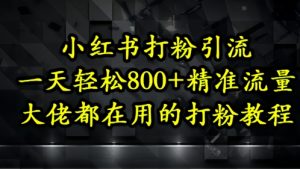 小红书打粉引流，一天轻松500+精准流量，大佬都在用的打粉教程-琴书聊项目