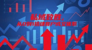 私域致胜，从0到1搭建客户成交体系-琴书聊项目