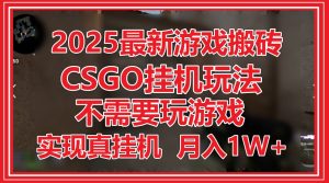 2025最新游戏搬砖，CSGO挂机，不需要玩游戏，实现真挂机，月入1W+-琴书聊项目