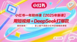 小红书一年陪伴课【2025年新课】，用短视频+deepSeek打爆款，史上最干货的小红书店铺爆款课程-琴书聊项目