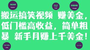 搬运搞笑视频挣美金，低门槛高收益，简单粗暴新手月入上千美刀-琴书聊项目