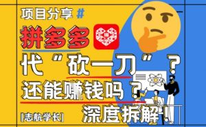 【2025最新】拼多多代坎助力项目深度拆解：还能挣钱吗?全流程玩法-琴书聊项目
