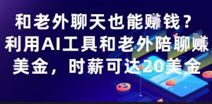 和老外聊天也能挣钱？利用AI工具和老外陪聊挣美金，时薪可达20刀-琴书聊项目