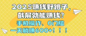 2025赚钱野路子，截屏就能赚钱？手机操作0门槛，一天躺赚600+！！！-琴书聊项目