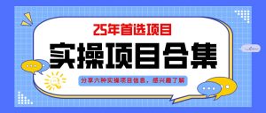 2025年实操六大项目实操演练，挂机类型，AI直播类型，轻资产创业类型，…-琴书聊项目