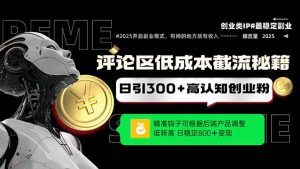 评论区低成本引流秘籍，精准钩子直击用户，单账号日增300+创业粉，日稳…-琴书聊项目