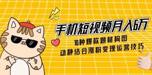 手机短视频月入6万，10种爆款题材构图，动静结合涨粉变现运营技巧-琴书聊项目