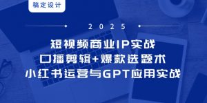 短视频商业IP实战6期：口播剪辑+爆款选题术，小红书运营与GPT应用实战-琴书聊项目