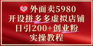 外面卖5980开设拼多多虚拟店铺：单日引流200+创业付费粉实战教程-琴书聊项目