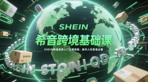 希音跨境基础课,SHEIN希音卖家入门实操指南,新手入坑希音必看-琴书聊项目