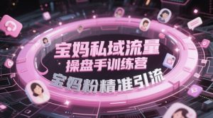 宝妈私域流量操盘手训练营，宝妈粉精准引流-琴书聊项目