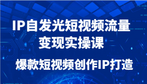 IP自发光短视频流量变现实操课,爆款短视频创作IP打造-琴书聊项目