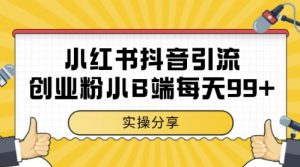 小红书抖音创业粉，小B端粉自热，日引99+的一个玩法【揭秘】-琴书聊项目