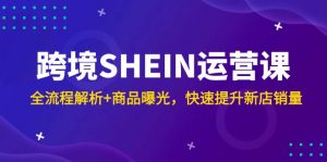 跨境SHEIN运营课，全流程解析+商品曝光，快速提升新店销量-琴书聊项目