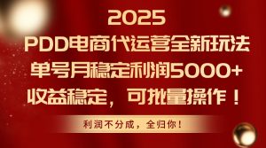 2025PDD电商代运营全新玩法，单号月稳定利润5000+，收益稳定，可批量操作-琴书聊项目