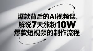 爆款背后的AI视频课，解说7天涨粉10W爆款短视频的制作流程-琴书聊项目