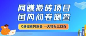 网创搬砖项目，国内问卷调查，小白轻松上手，一天三四张的也不难，干就完了【揭秘】-琴书聊项目