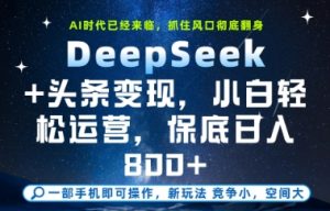 DeepSeek+头条变现,保姆级教学,小白轻松上手,日入8张+【揭秘】-琴书聊项目