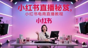 小红书直播秘笈，小红书电商直播教程-琴书聊项目