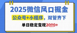 2025微信风口掘金，公众号+小程序双管齐下，单日稳定变现1k+【揭秘】-琴书聊项目